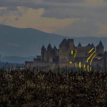 Spacieux A 48 M² Avec Parking Lägenhet Carcassonne