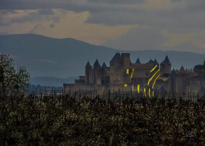 Spacieux A 48 M² Avec Parking Lejlighed Carcassonne